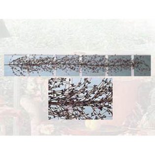 27001