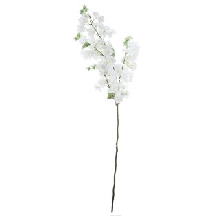 29635-WHIT