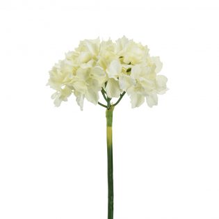 58148-CREA