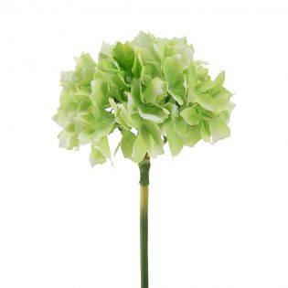 58148-GREE