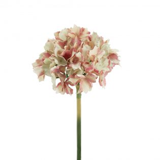 58148-PINK