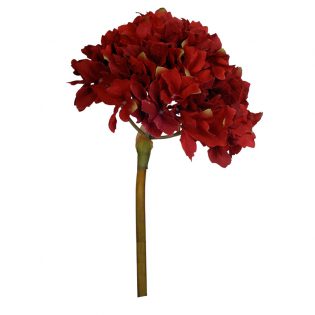 58148-RED