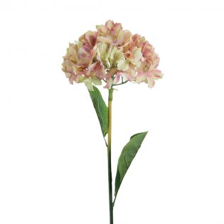 58154-PINK