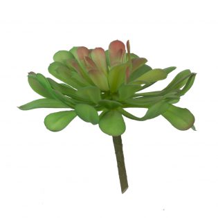 F2619-GREE