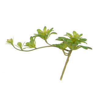 F2621-GREE