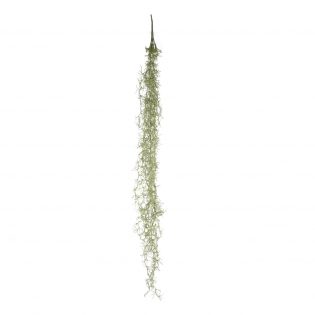 F2625-DKGR