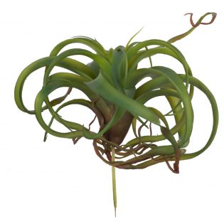 F2635-DKGR