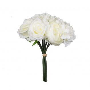 F2641-CREA