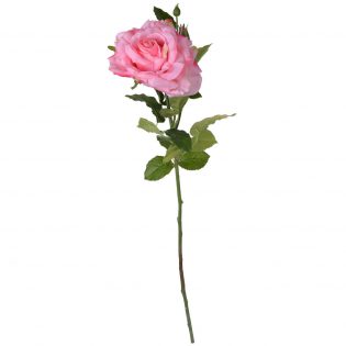 F29350-PINK