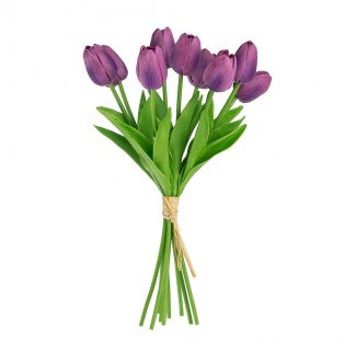 F29612-PURP