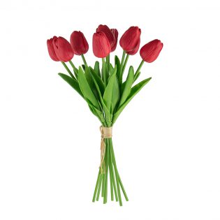 F29612-RED