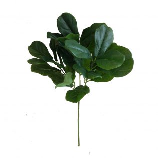 F4535