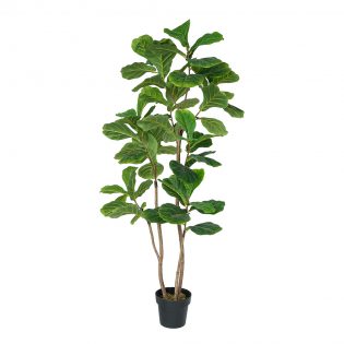 F4536