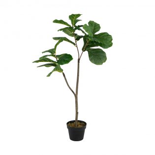F4538