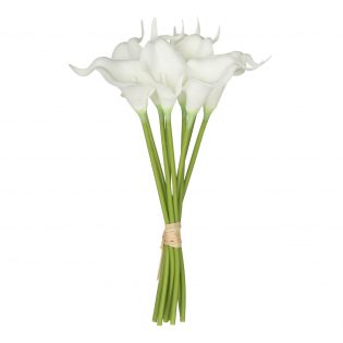 F4545-WHIT