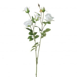 F4622-WHIT
