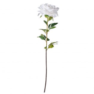 F4685-WHIT