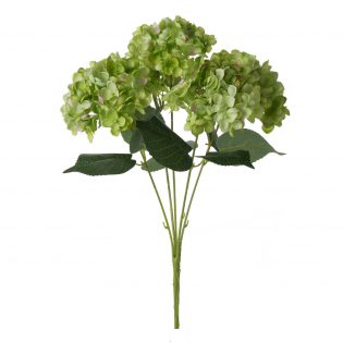 F4693-GREE