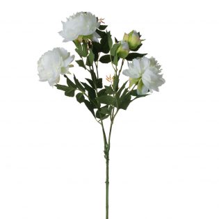 F4697-WHIT