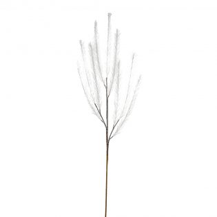 SA10453-WHIT