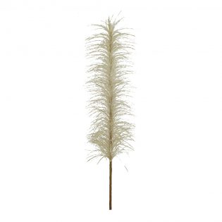 SA10456-CHAM
