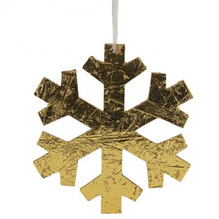 X20RJ0256-GOLD