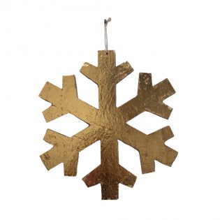 X20RJ0258-GOLD