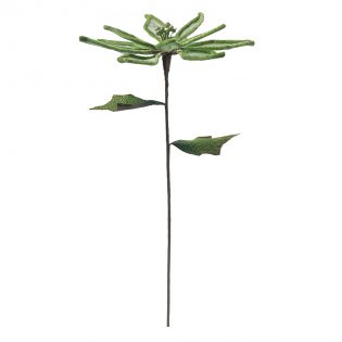 X58915-GREE