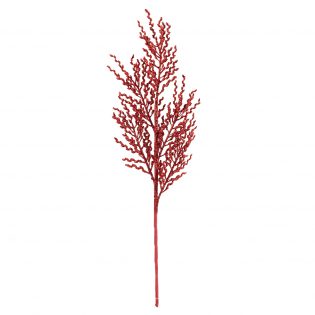 XB19HY019-RED