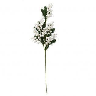 XB19HY035-WHIT