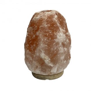 83658