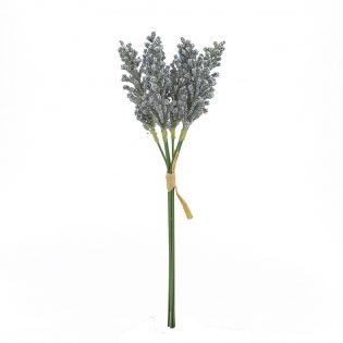 SA11646-GRAY