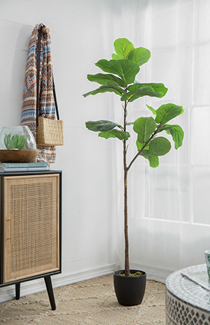 Faux Plants, Trees & Succulent
