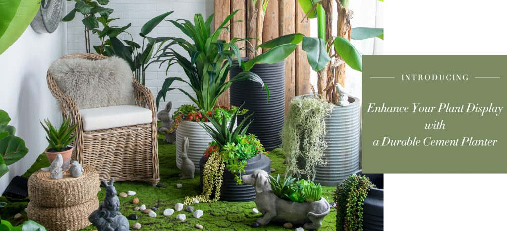 Enhance Your Plant Display with a Durable Cement Planter