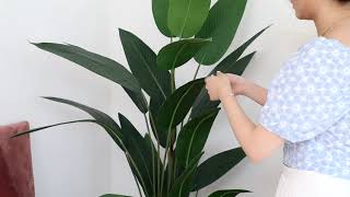 Video_alt