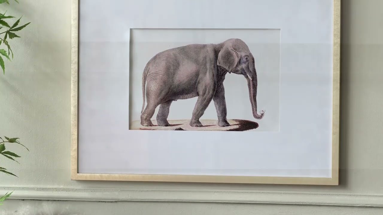 Video_alt