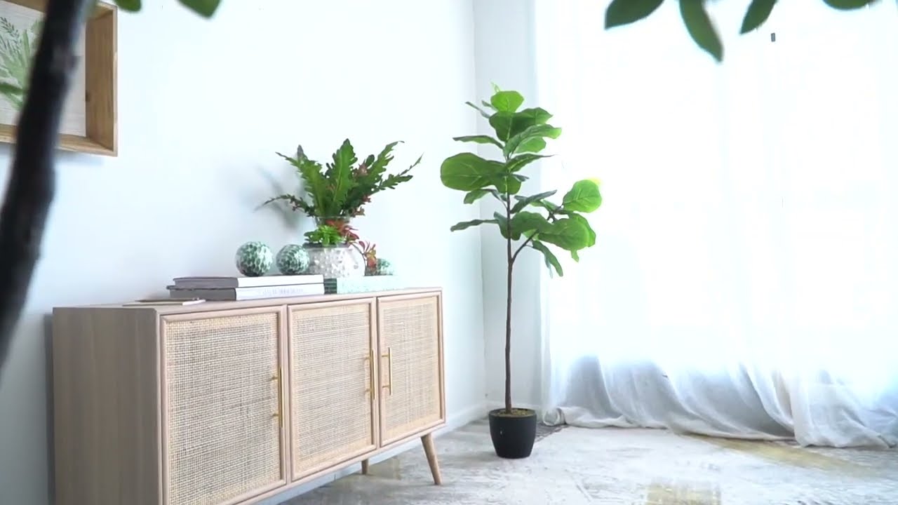 Video_alt