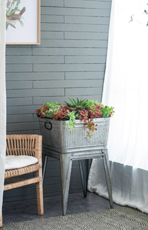 Outdoor Organization & Storage