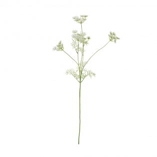 A0031