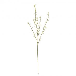 A0032