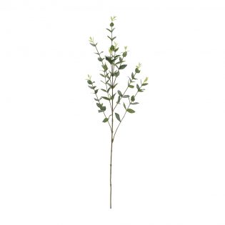 A0034