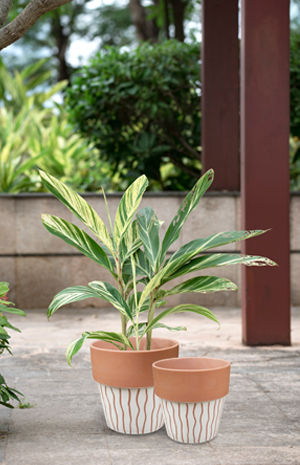 Outdoor Pots & Urns